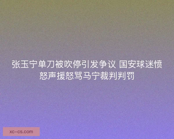 张玉宁单刀被吹停引发争议 国安球迷愤怒声援怒骂马宁裁判判罚